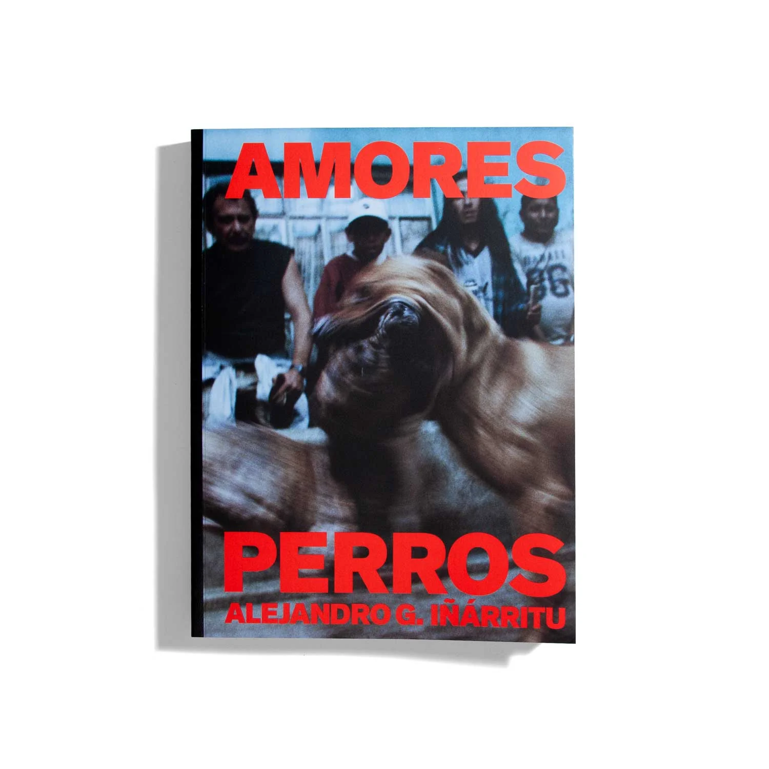 Amores Perros - Alejandro G. Ińárritu