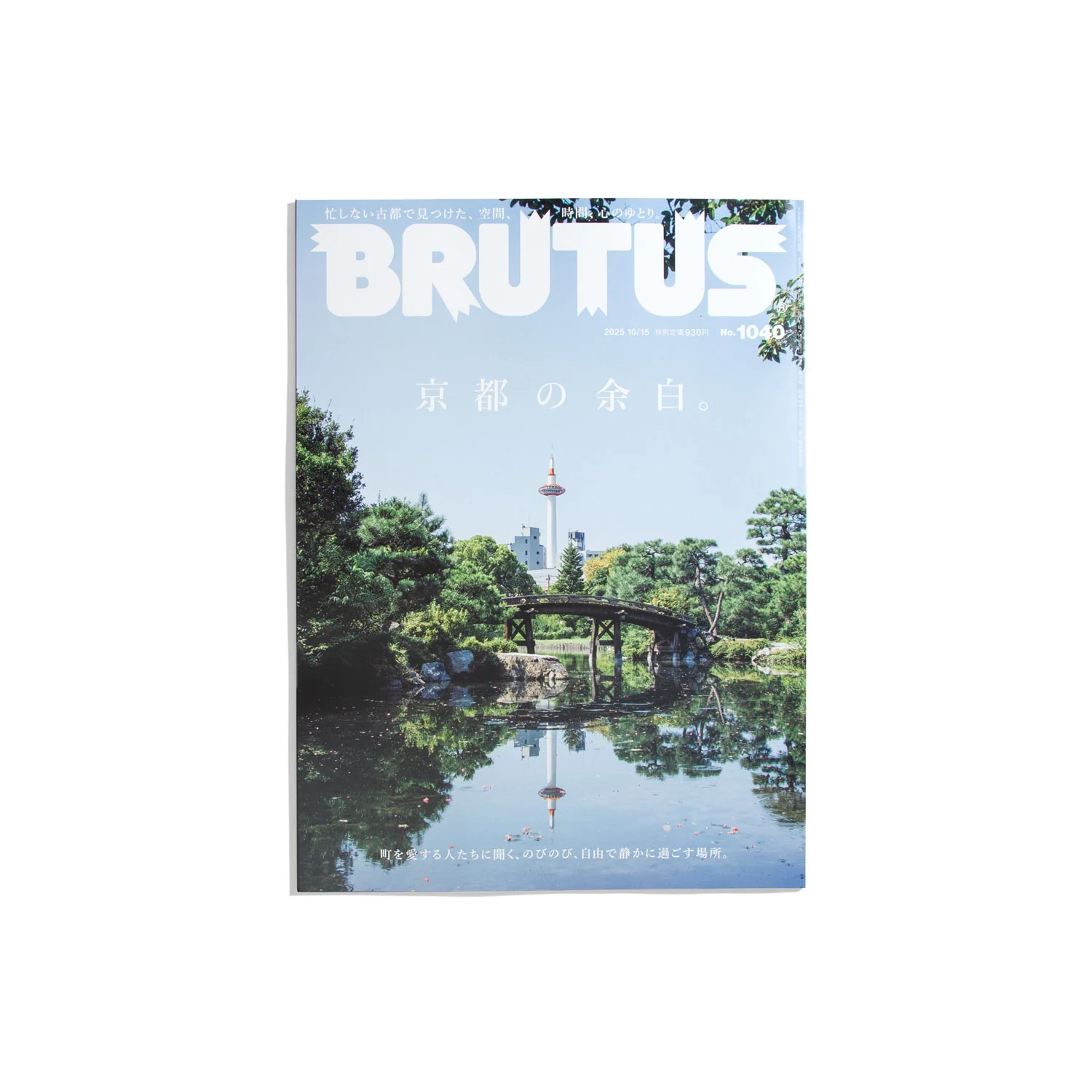 BRUTUS #1040