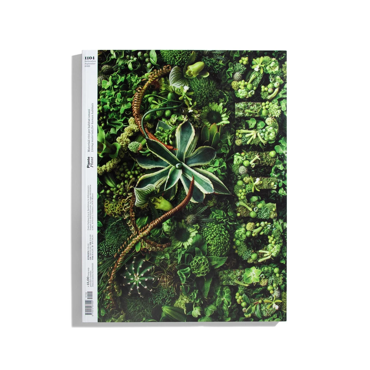 DOMUS  #1104 2025