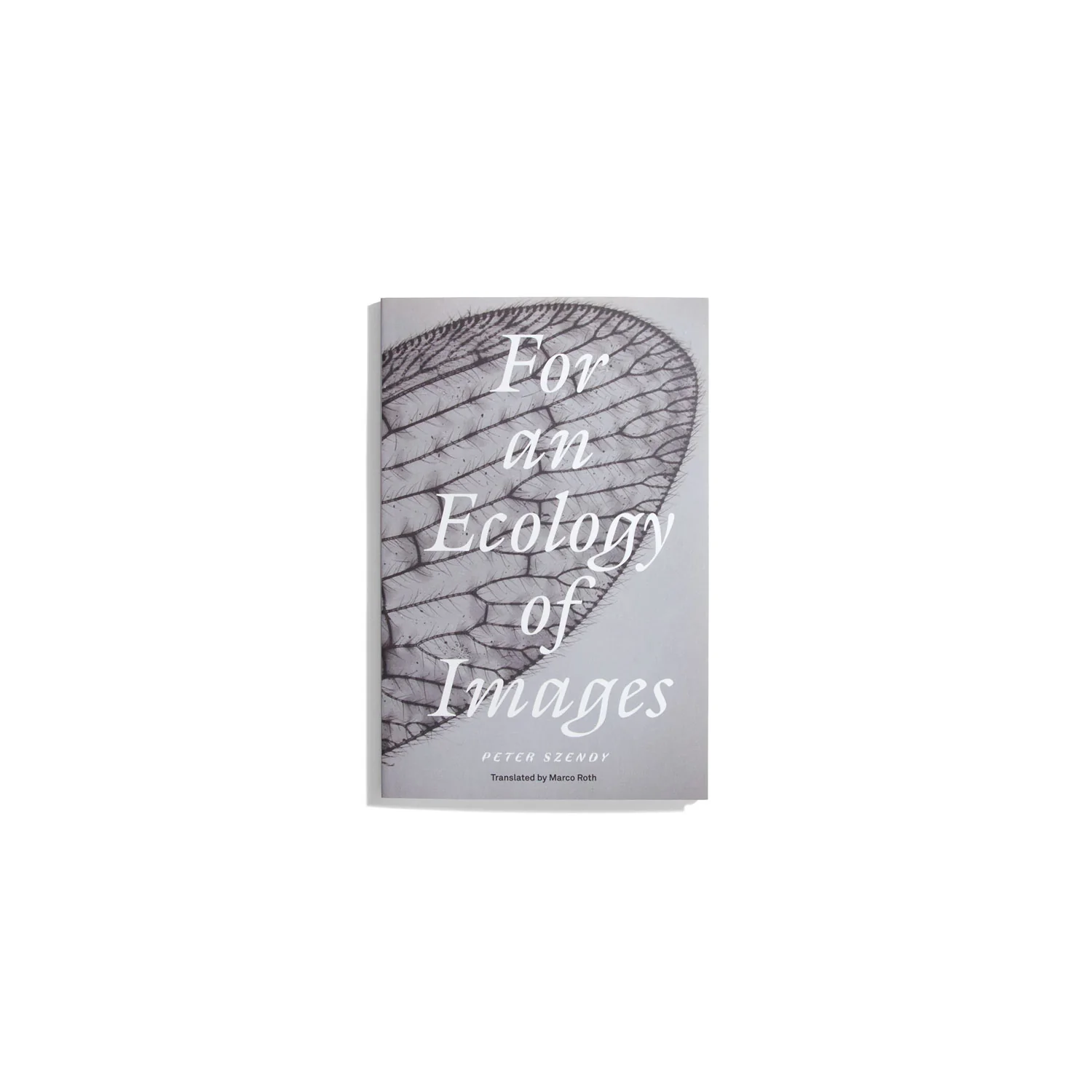 For An Ecology of Images