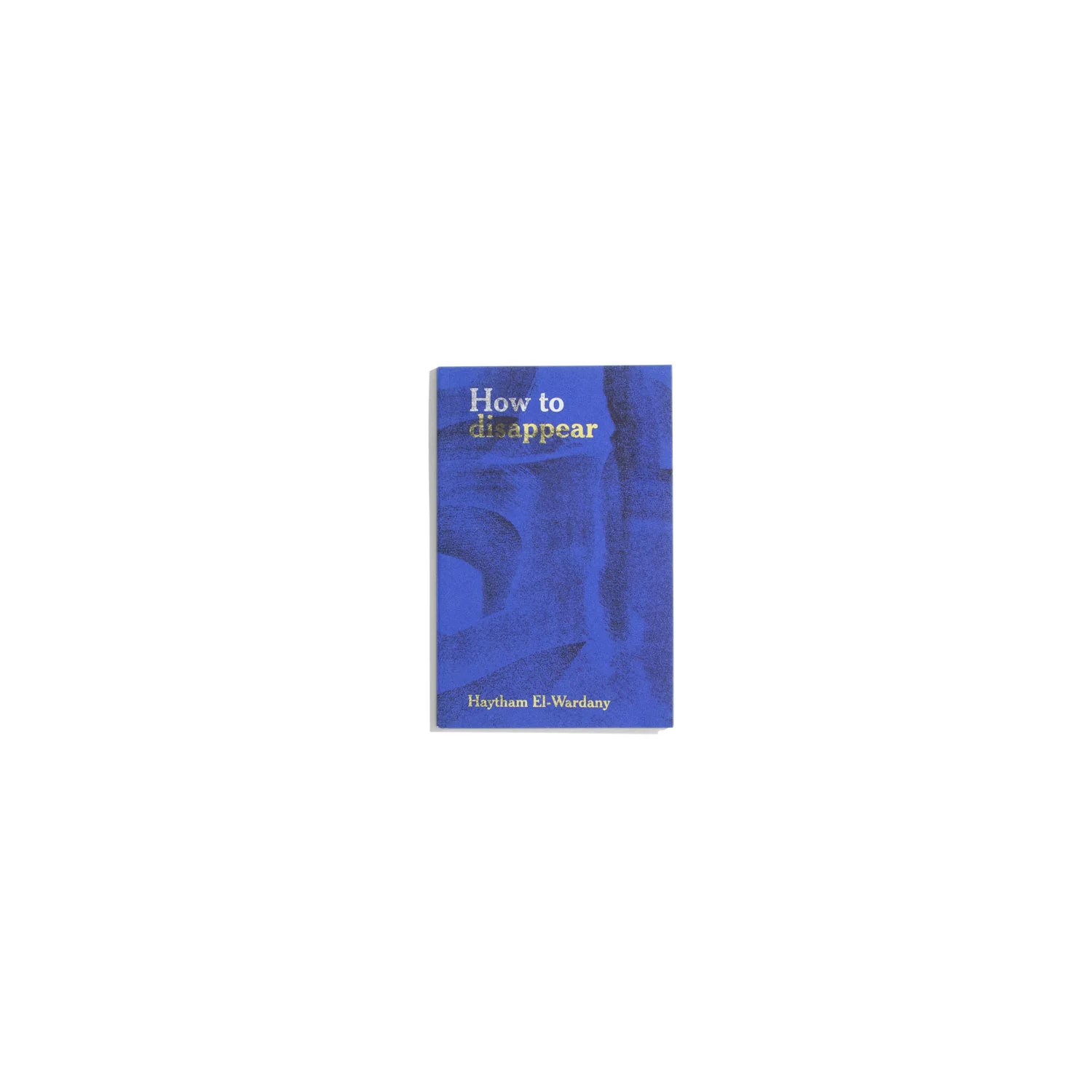 How to disappear - Haytham el-Wardany