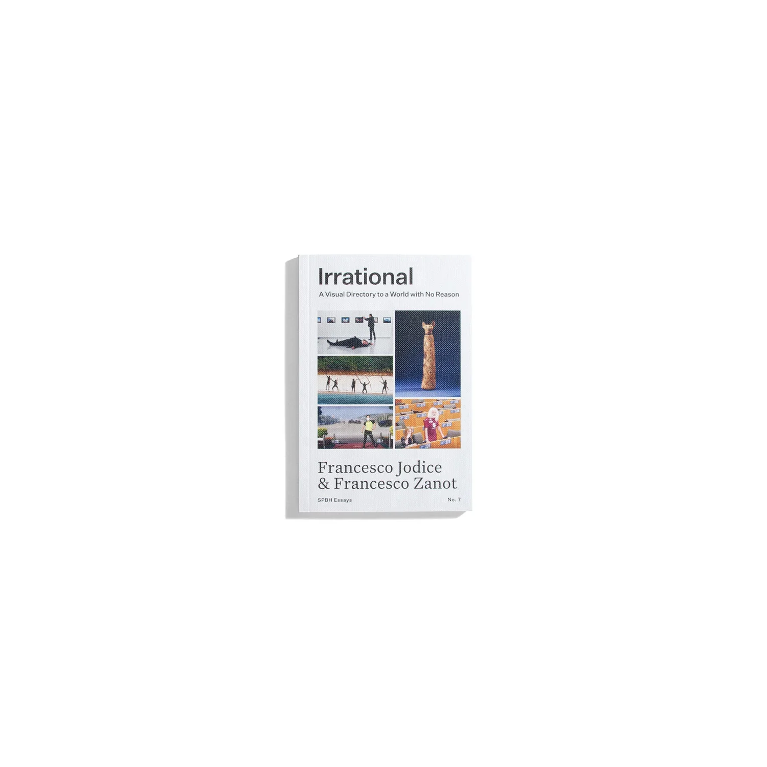 Irrational - Francesco Jodice & Francesco Zanot