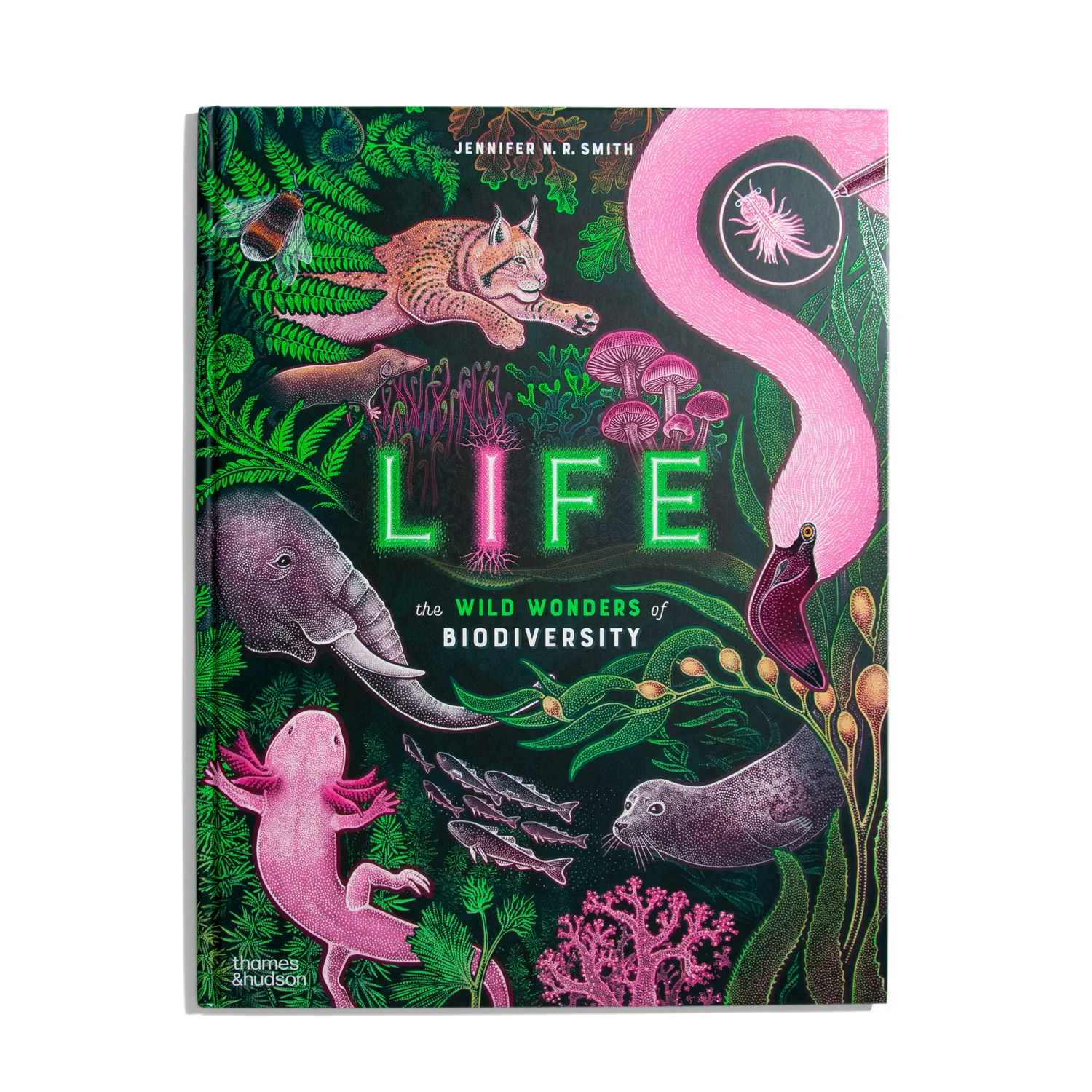 Life - Jennifer N. R. Smith (EN)