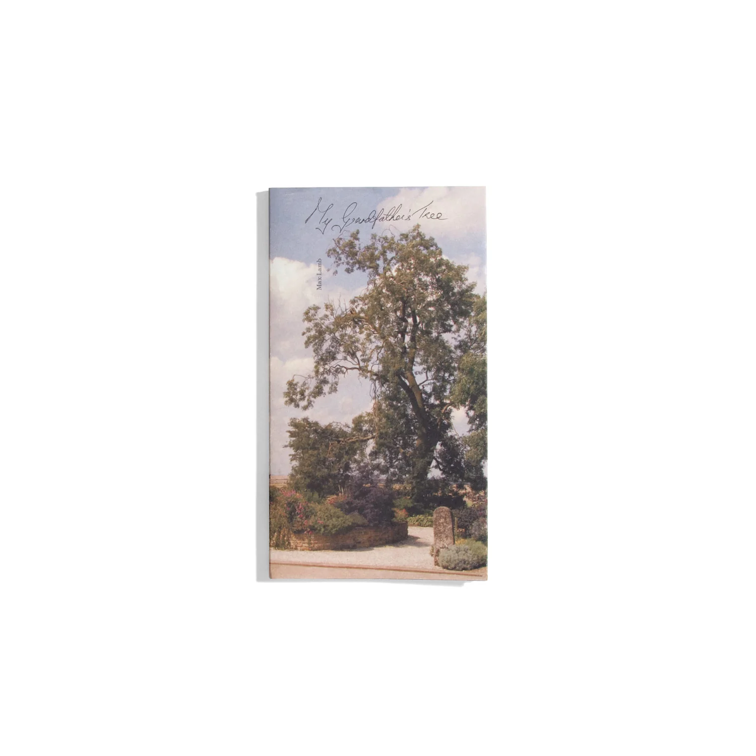 My grandfathers tree