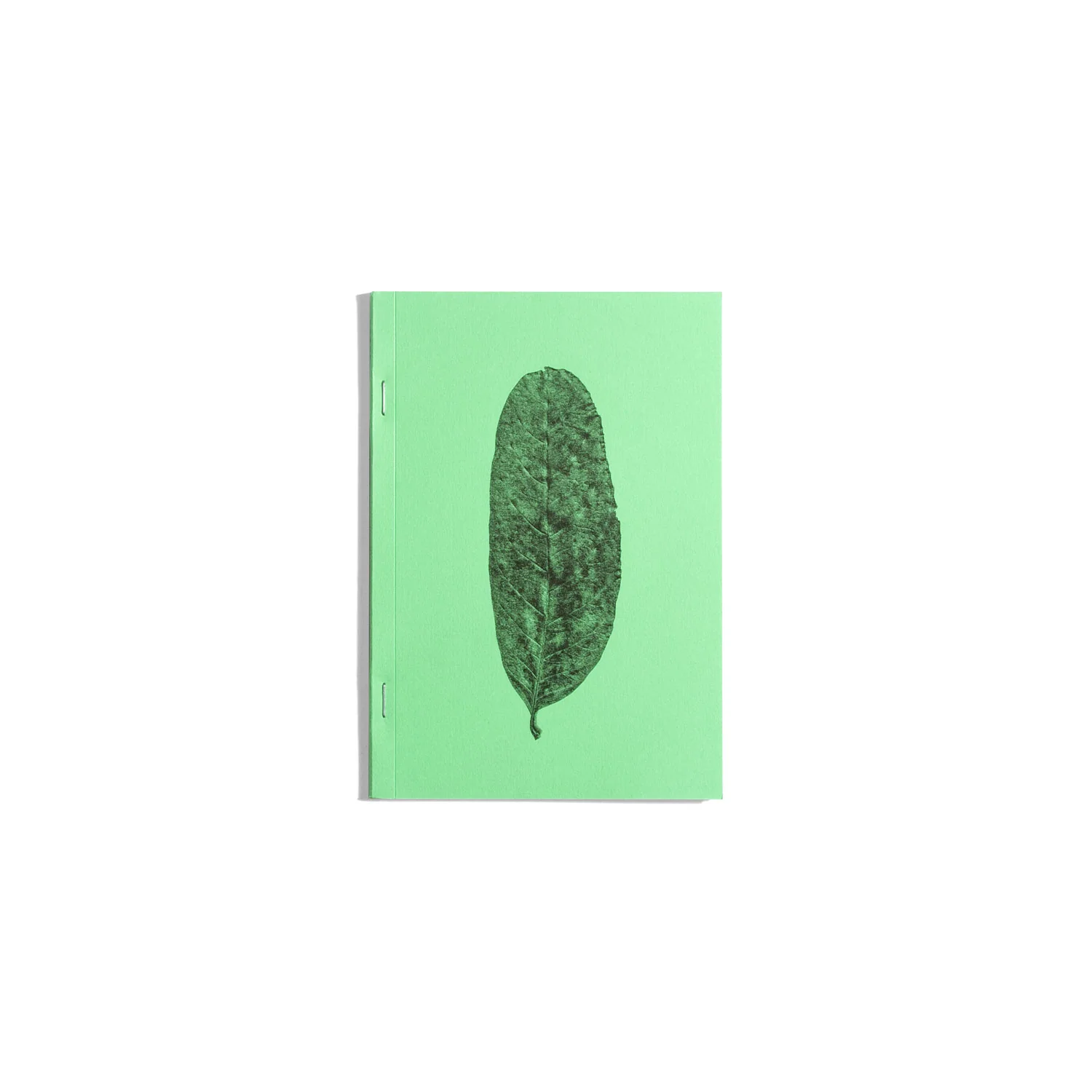 Plant Scans - Jamie Yeo