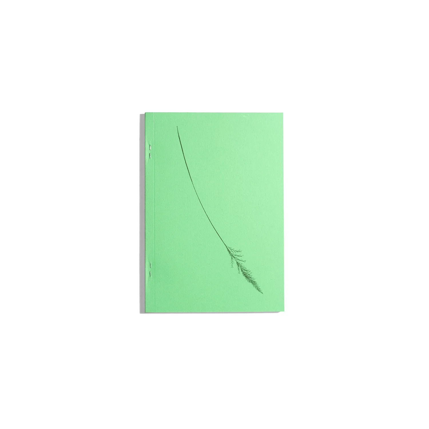 Plant Scans - Jamie Yeo - Image 2