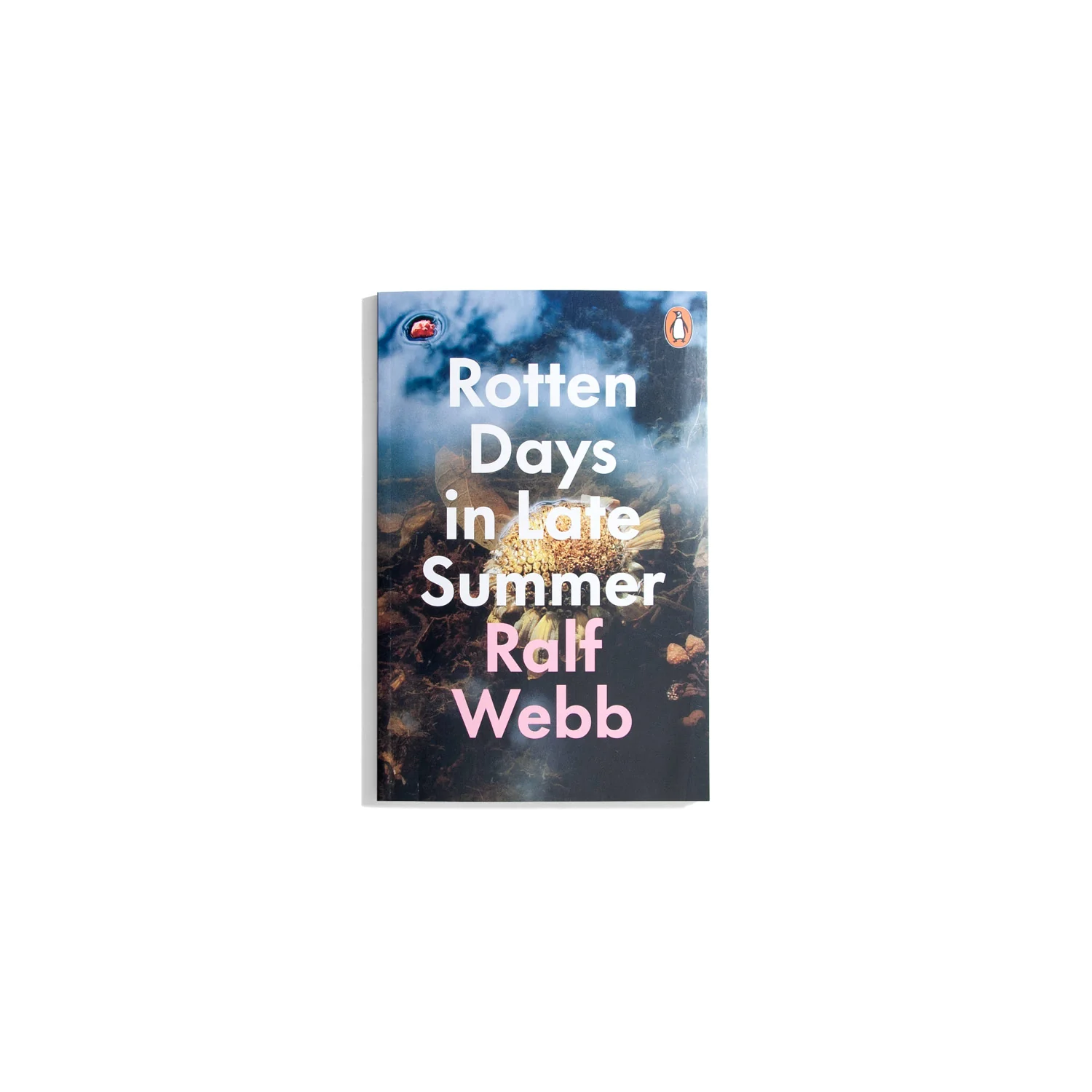 Rotten Days in Late Summer