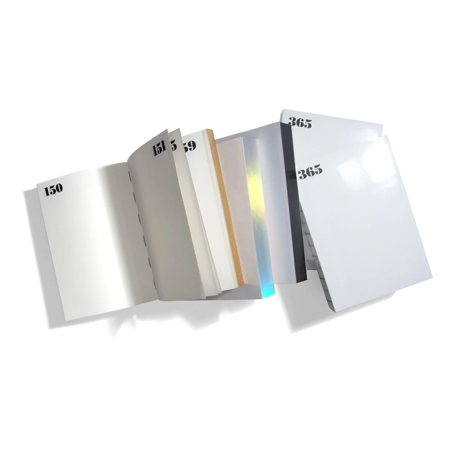 Silver-Iridescent-Edged - 365 Calendrical Notebook - Image 2