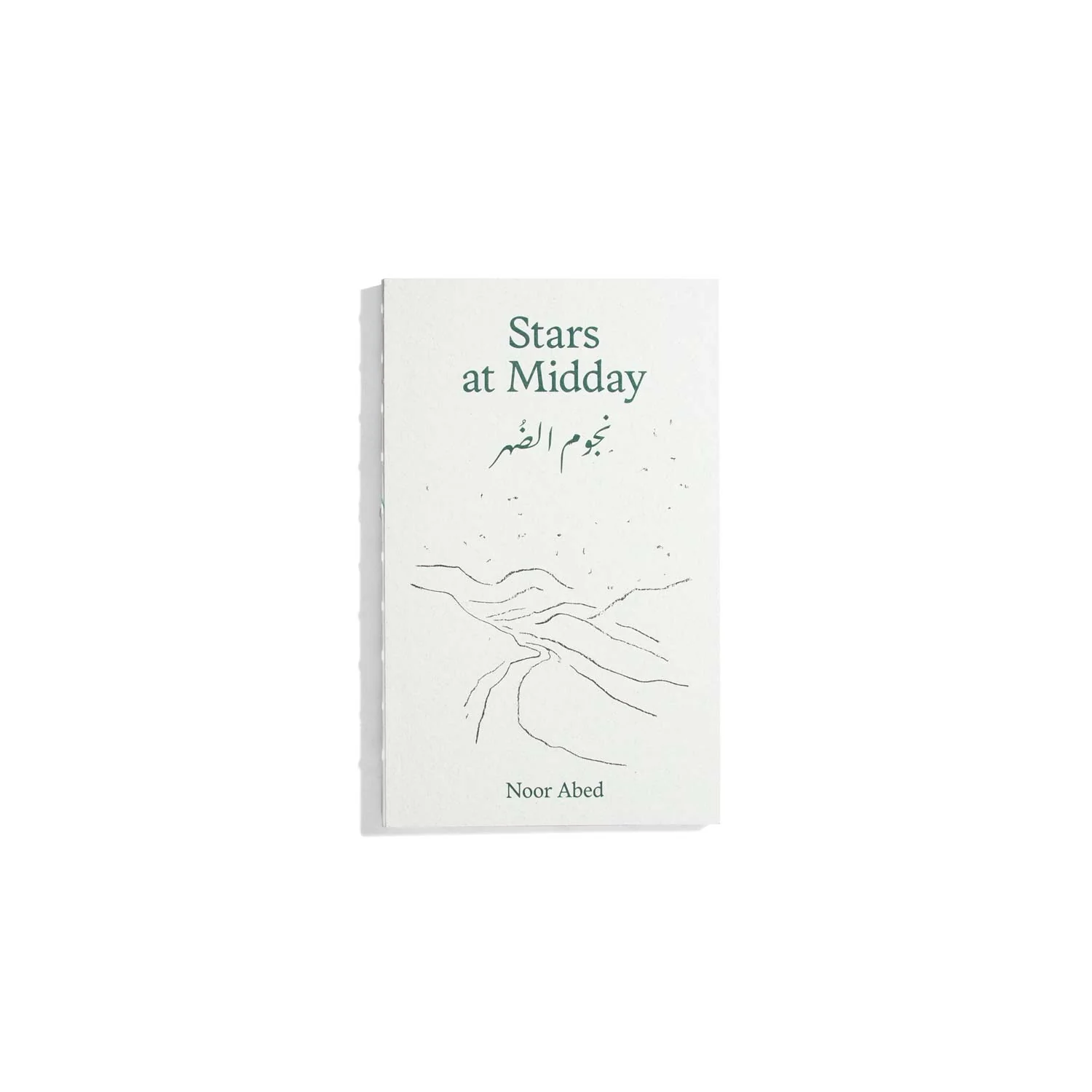 Stars at Midday - Noor Abed