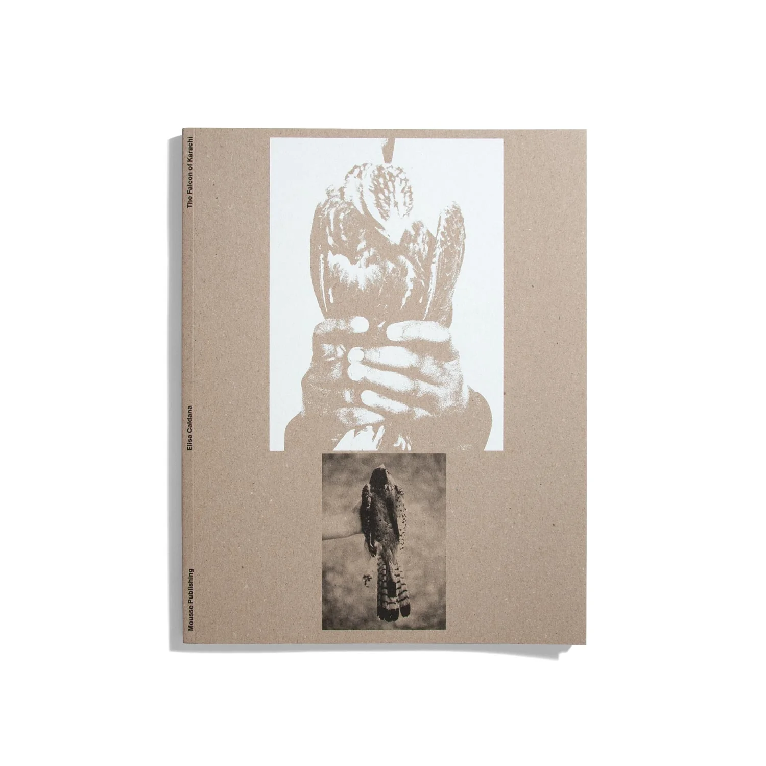 The Falcon of Karachi - Elisa Caldana