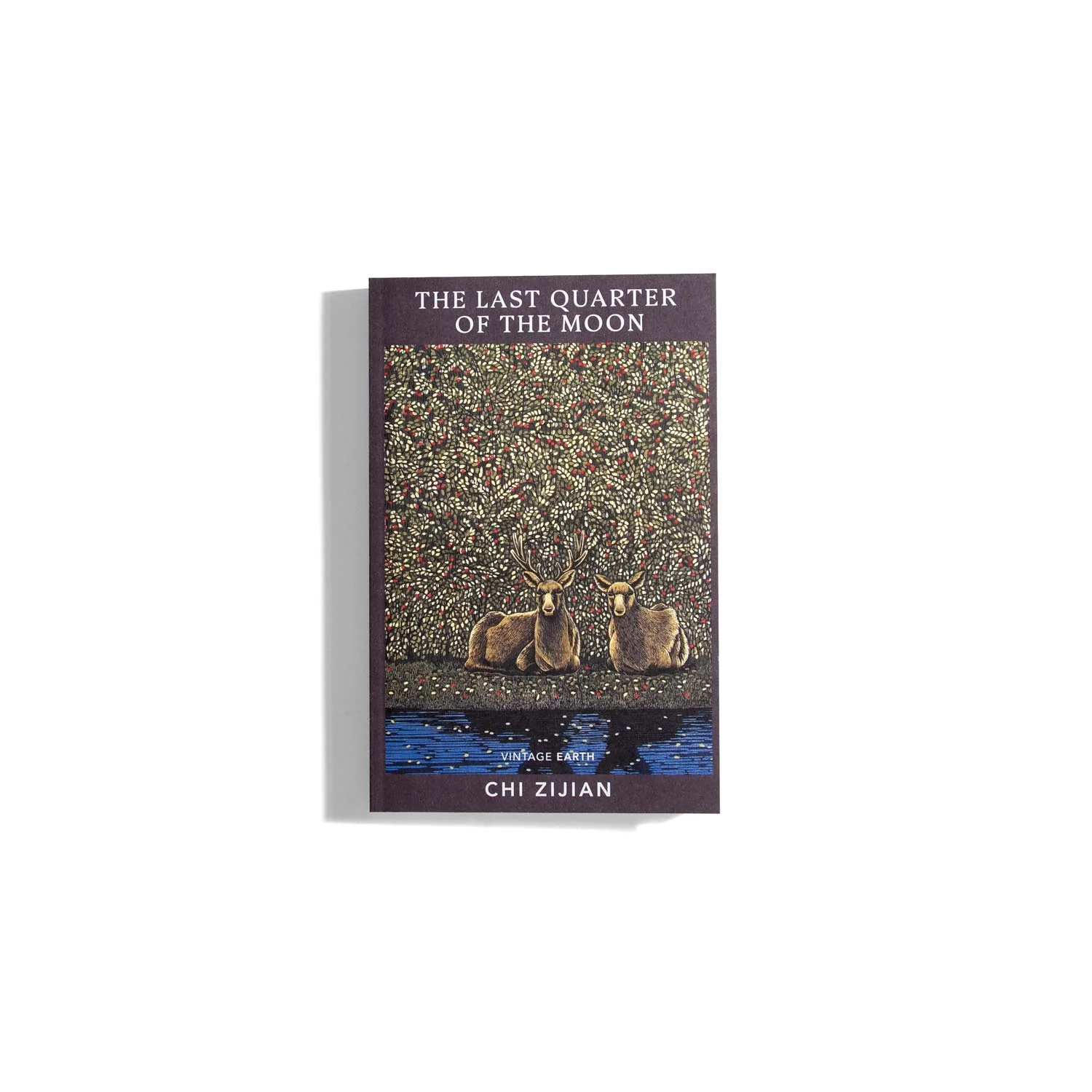 The Last Quarter of the Moon - Chi Zijian