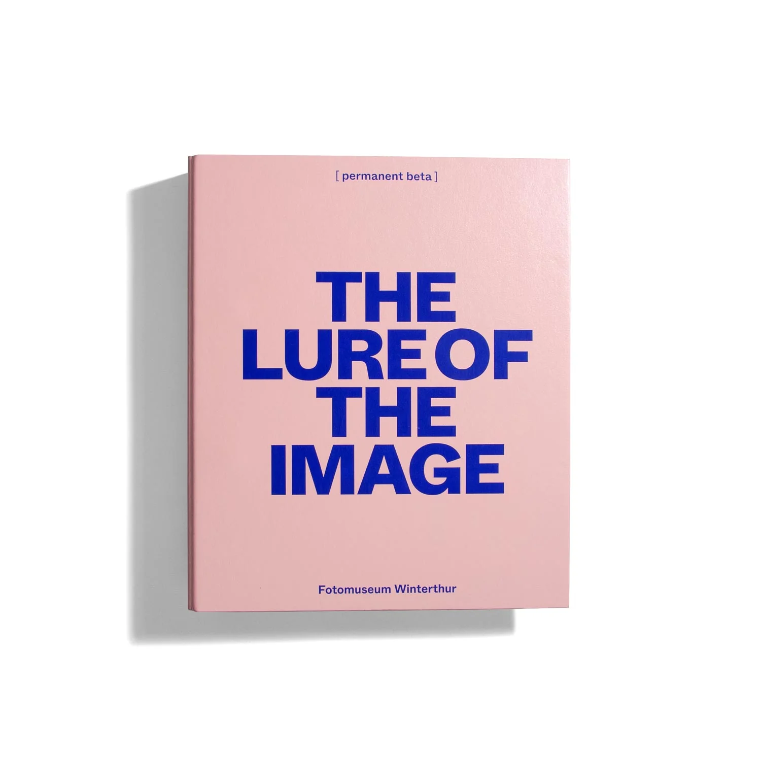 The Lure of the Image