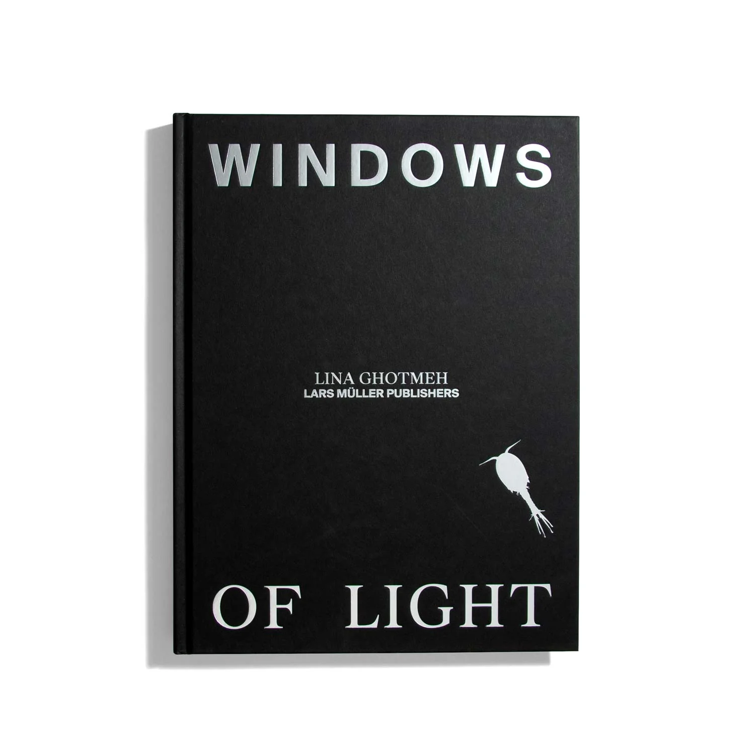 Windows of Light